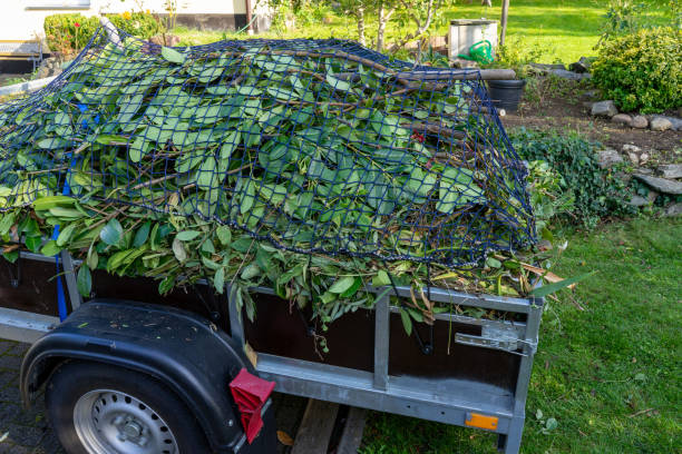 Best Moving and Downsizing Cleanouts  in Bolivar, WV